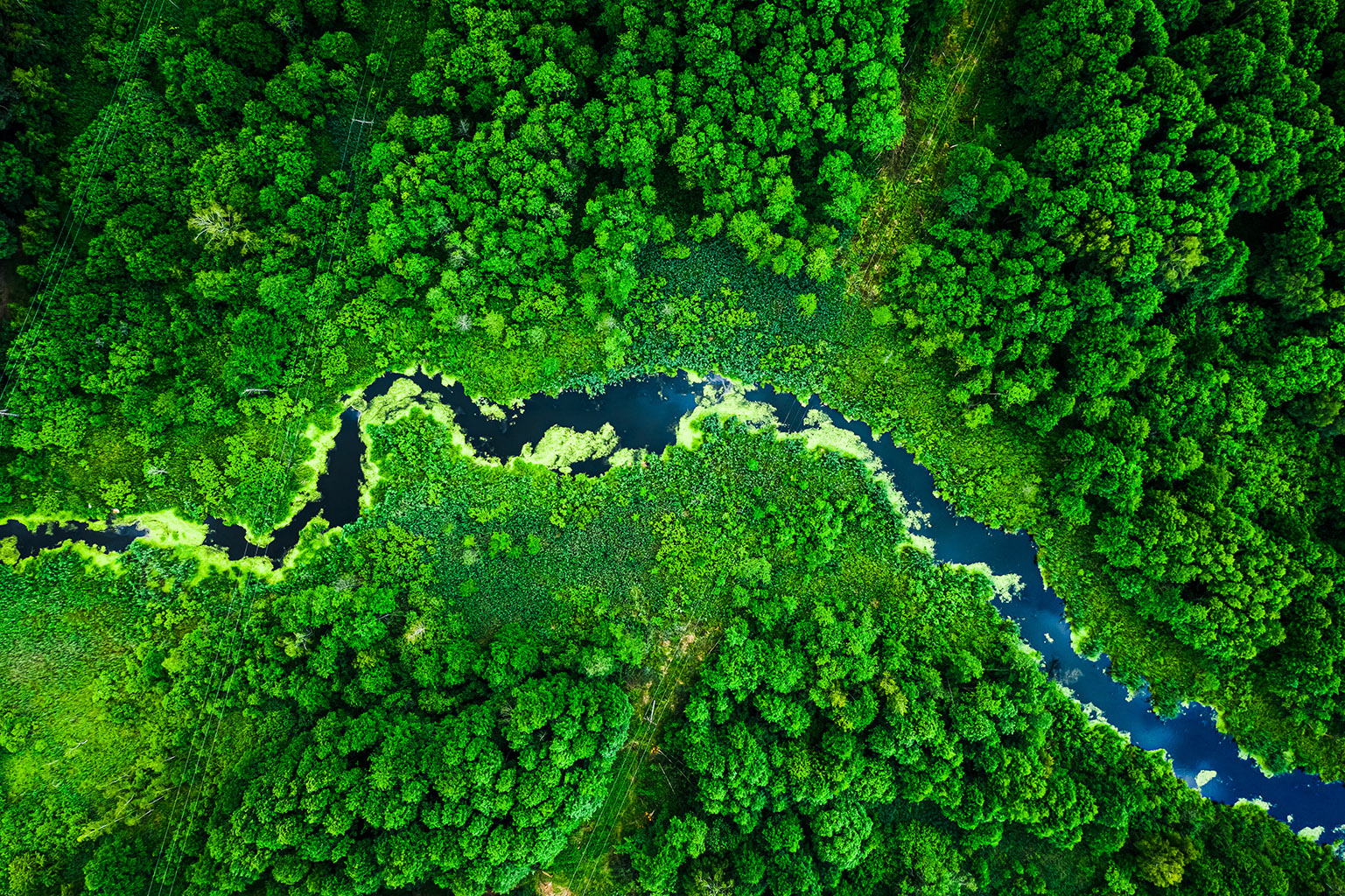 Amazing blooming algae on green river, aerial view